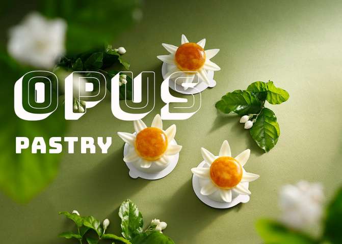 Opus Pastry 2022